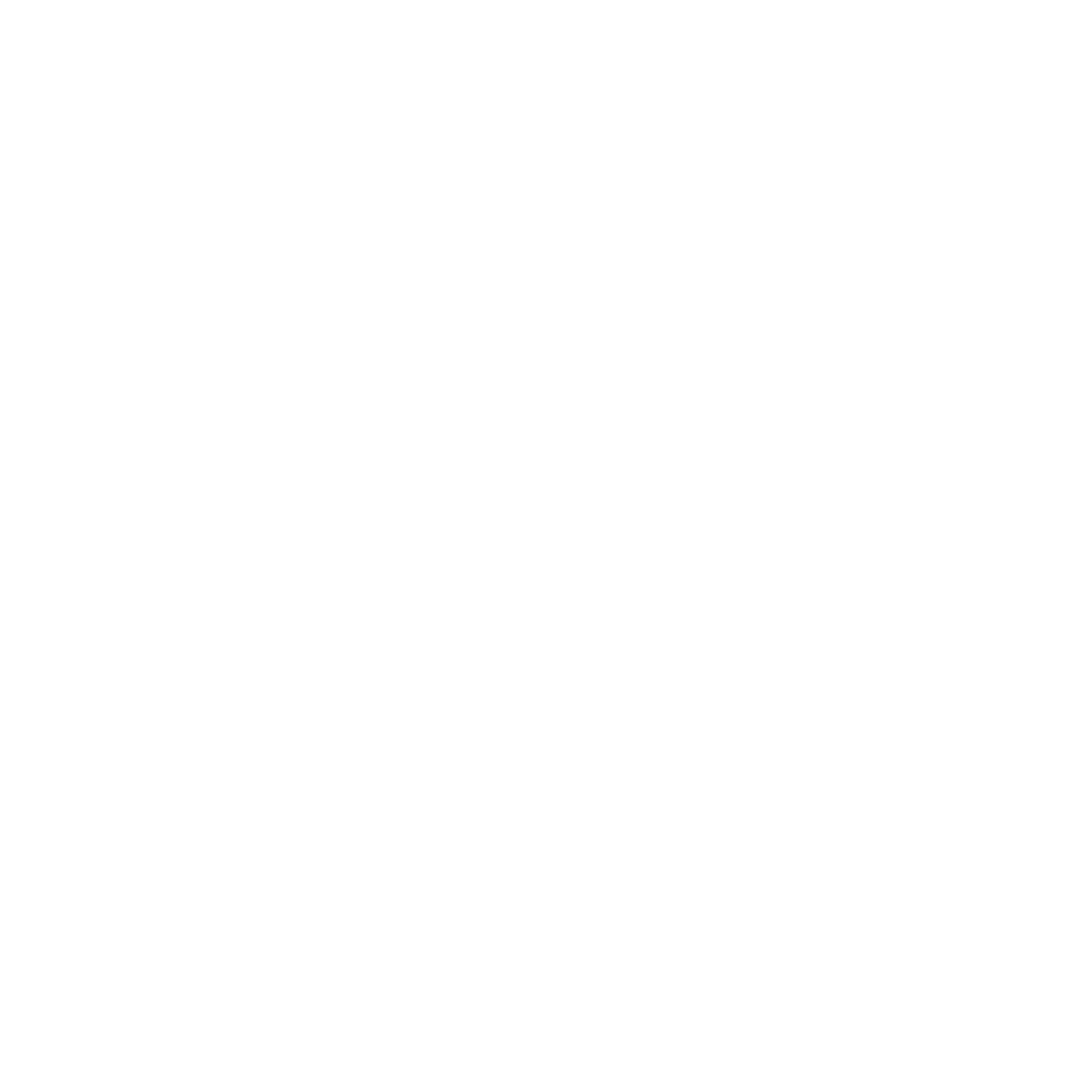 vitrail_cathedrale_white